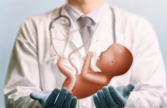 试管婴儿减胎具体怎么操作(无月经能做试管婴儿吗)